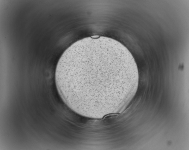 X0000102830082200809151050