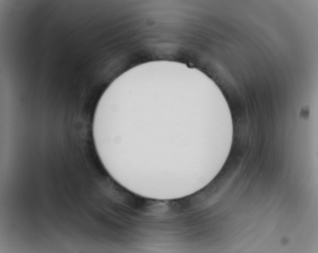 X0000102830083200809151050