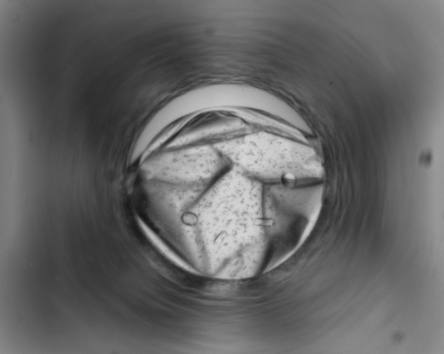 X0000102830084200809151050