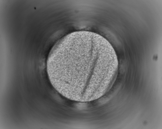 X0000102830085200809151050