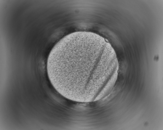 X0000102830086200809151050