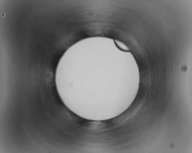X0000102830087200809151050