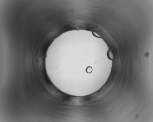 X0000102830088200809151050