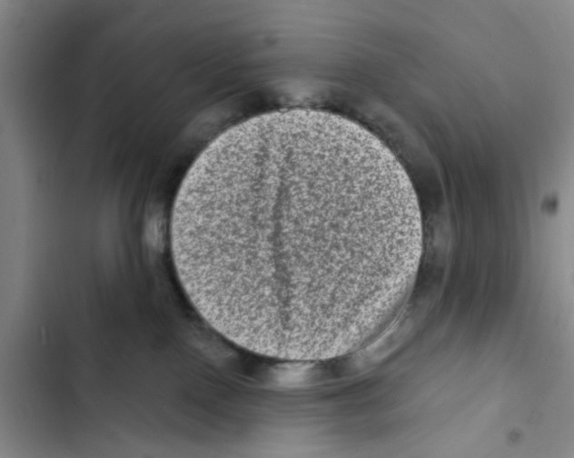 X0000102830090200809151050