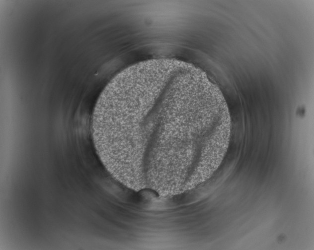 X0000102830093200809151050