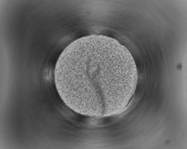 X0000102830094200809151050