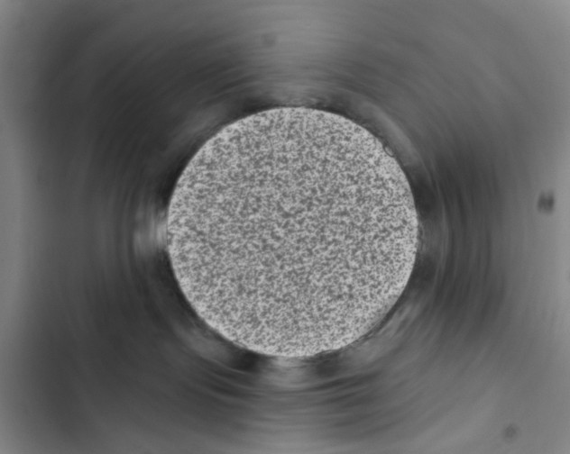 X0000102830095200809151050