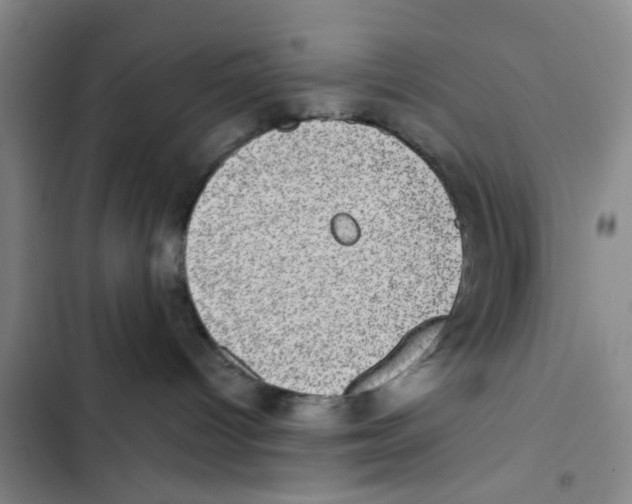 X0000102830096200809151050