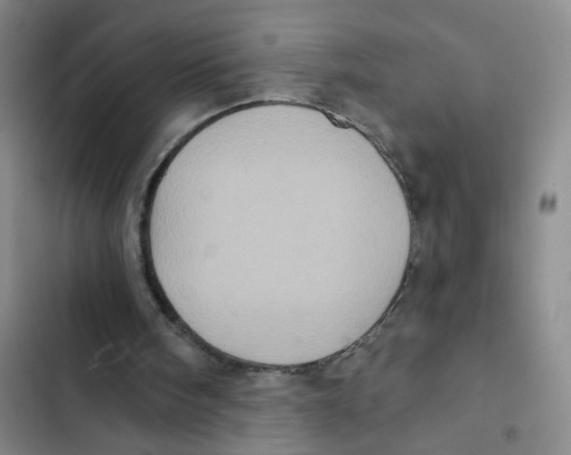 X0000102830098200809151049