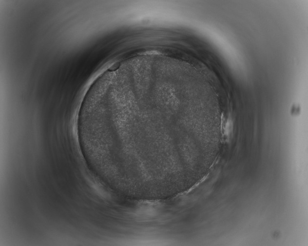X0000102830099200809151049