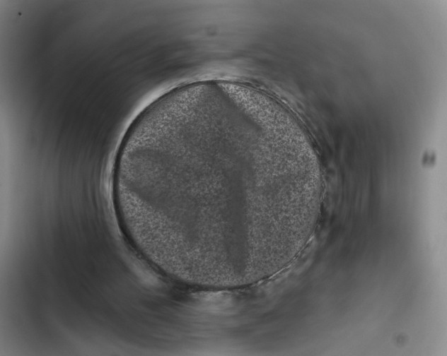 X0000102830100200809151049
