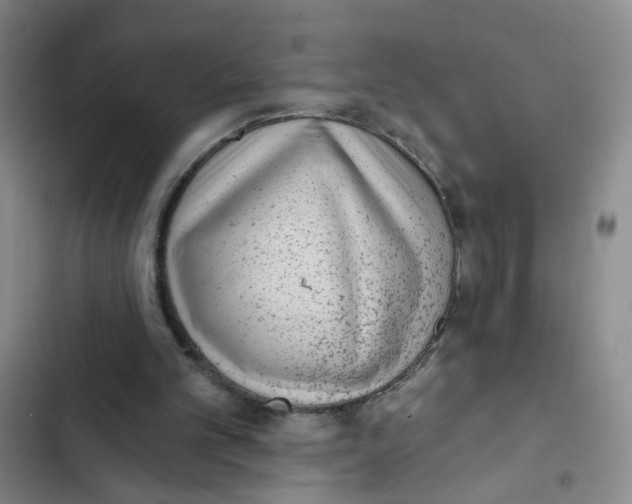 X0000102830101200809151049