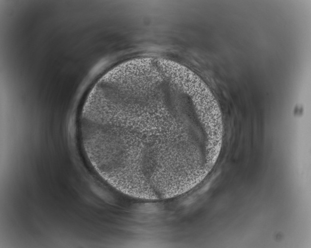 X0000102830102200809151049