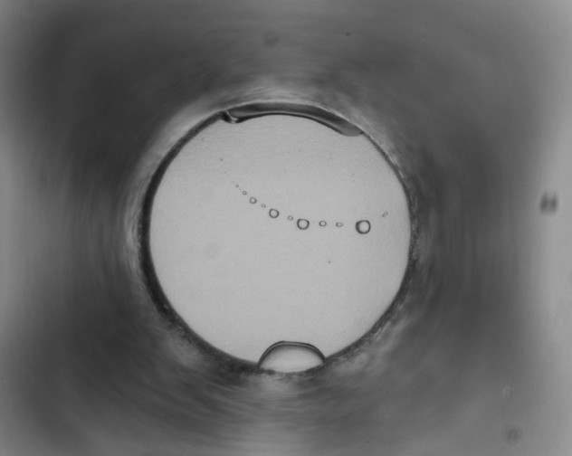 X0000102830103200809151049