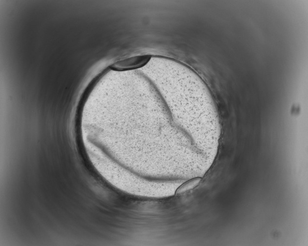 X0000102830104200809151049