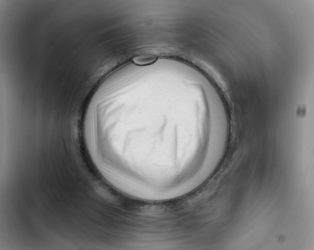 X0000102830105200809151049