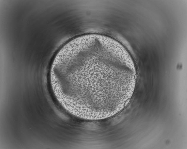 X0000102830106200809151049