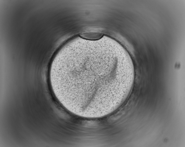 X0000102830107200809151049