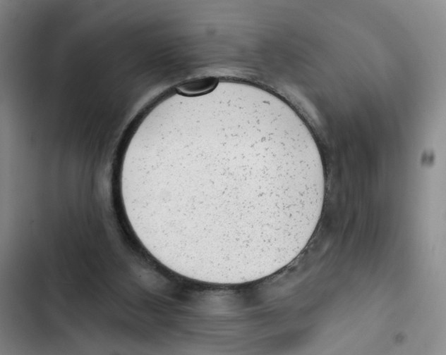 X0000102830108200809151049