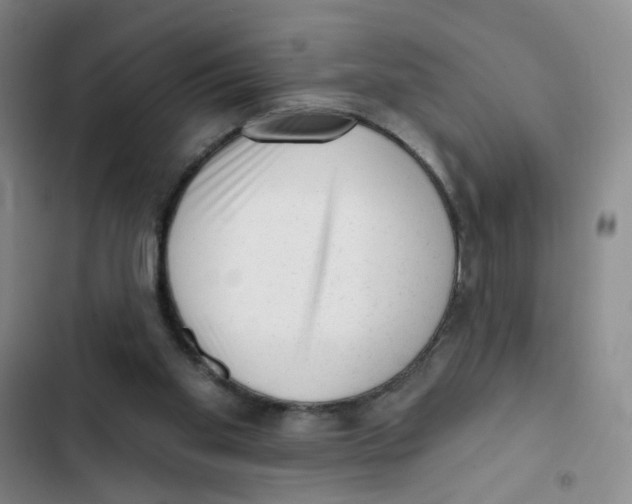 X0000102830109200809151049