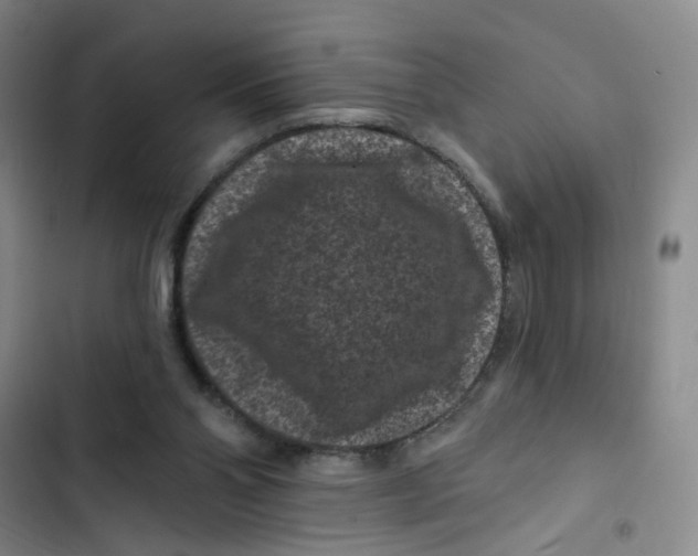 X0000102830110200809151049