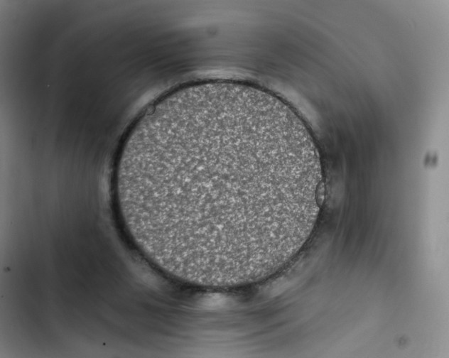 X0000102830111200809151049