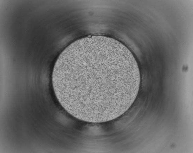 X0000102830113200809151049