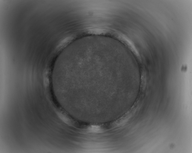 X0000102830114200809151049