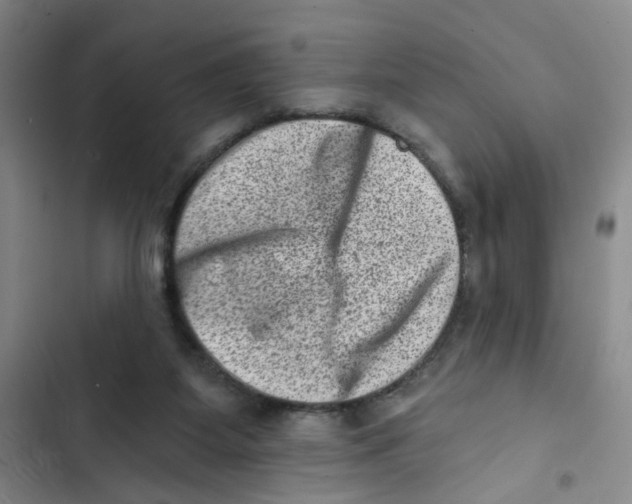X0000102830115200809151049