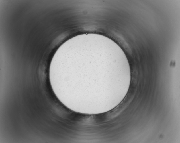 X0000102830116200809151049
