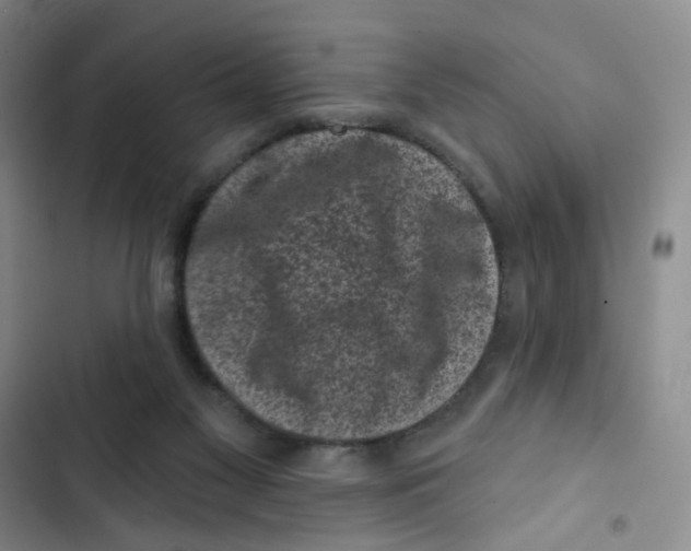 X0000102830117200809151049