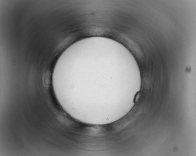 X0000102830118200809151049