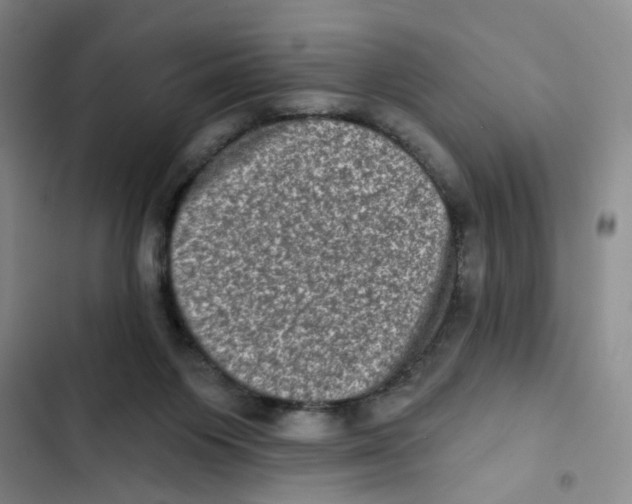 X0000102830119200809151049
