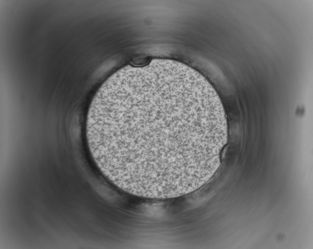 X0000102830120200809151049