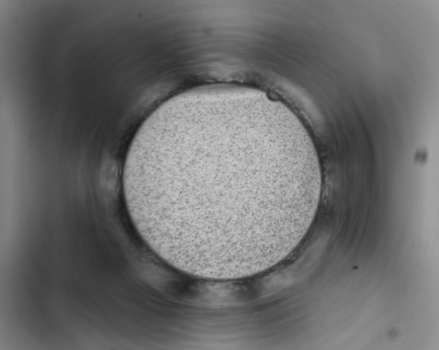 X0000102830121200809151049