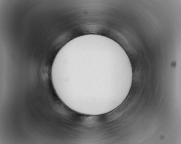 X0000102830122200809151049