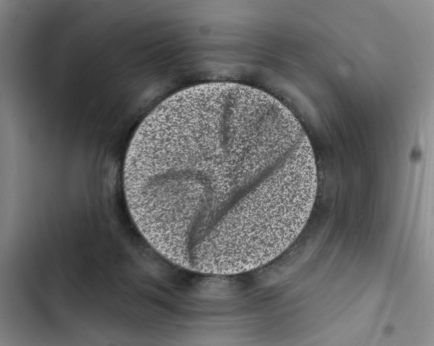 X0000102830123200809151049