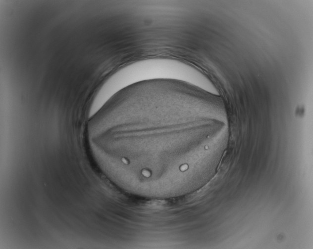 X0000102830124200809151049