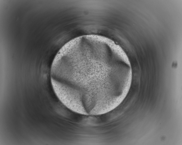 X0000102830125200809151049