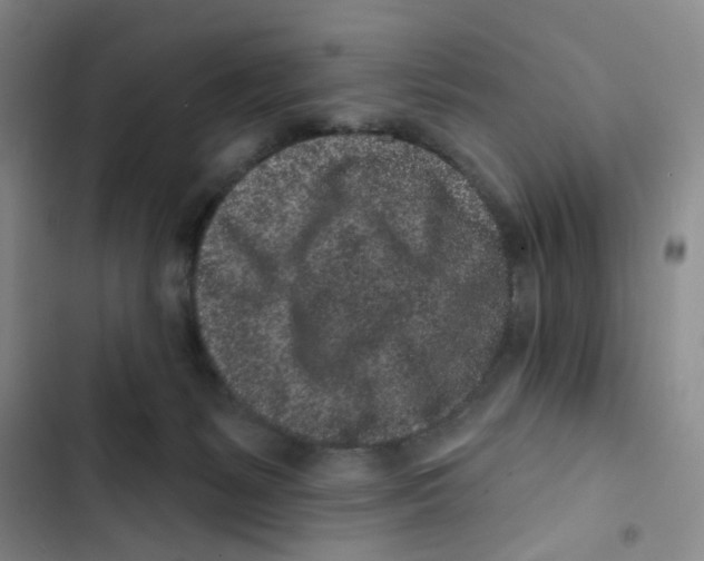 X0000102830127200809151049