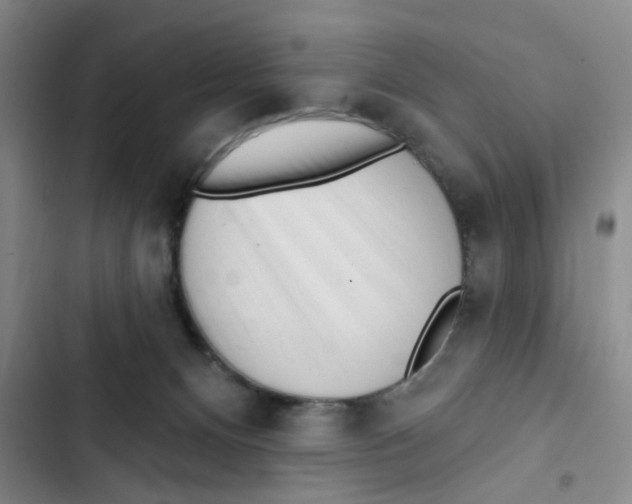 X0000102830128200809151049