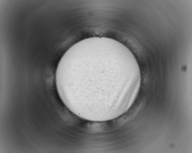 X0000102830129200809151049