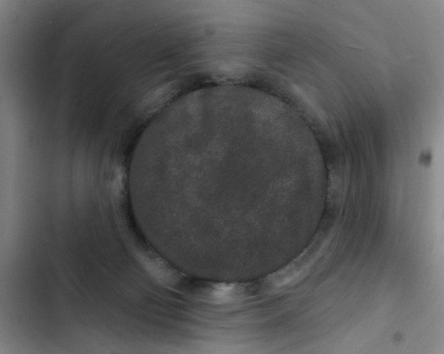 X0000102830130200809151049