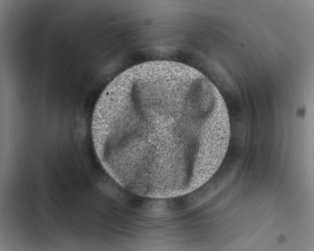 X0000102830131200809151049