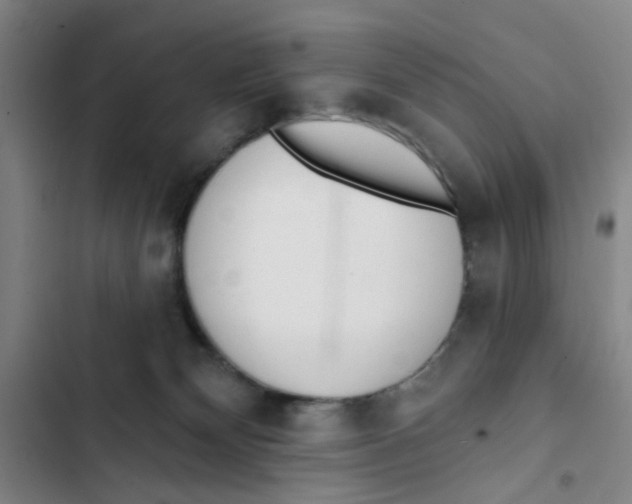 X0000102830132200809151049