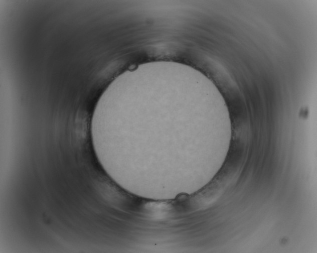 X0000102830133200809151049