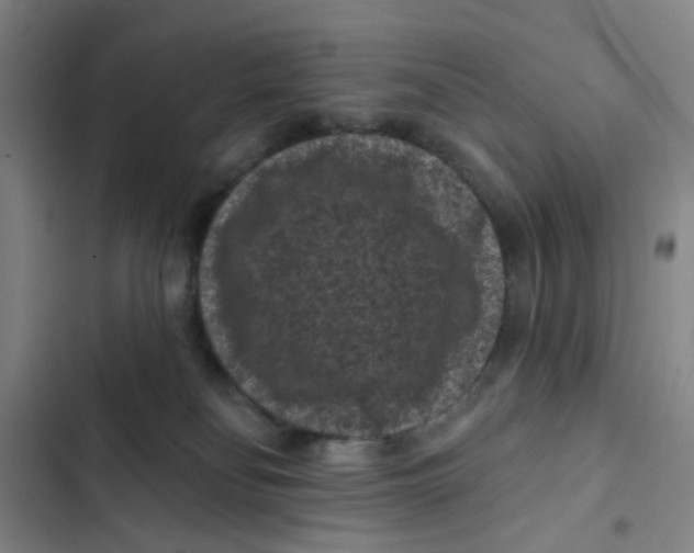 X0000102830134200809151049
