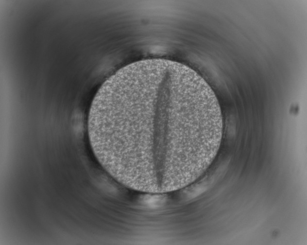X0000102830135200809151049