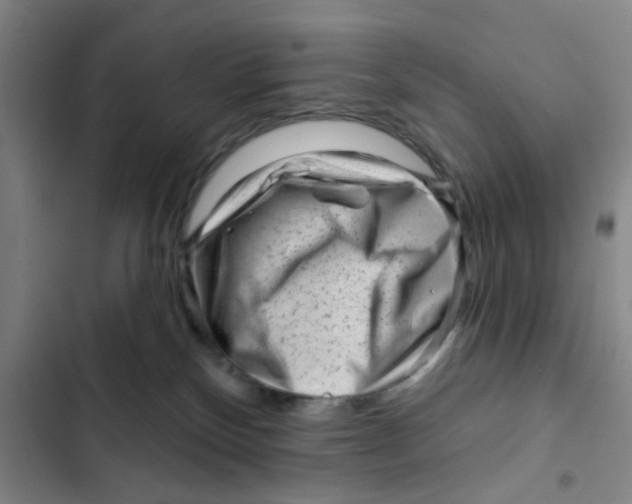 X0000102830136200809151049