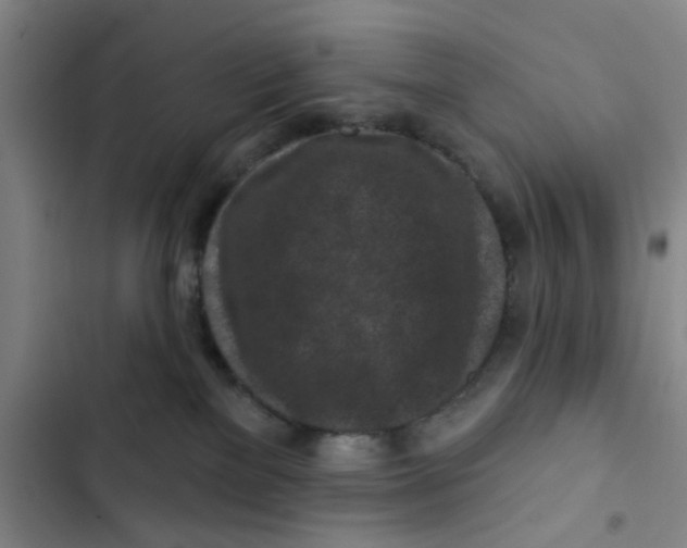 X0000102830137200809151049